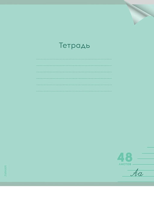 Цена за 2 шт. Тетрадь 48л. Prof-Press "Классика. Зеленая" линия (48-1479) пластиковая обложка