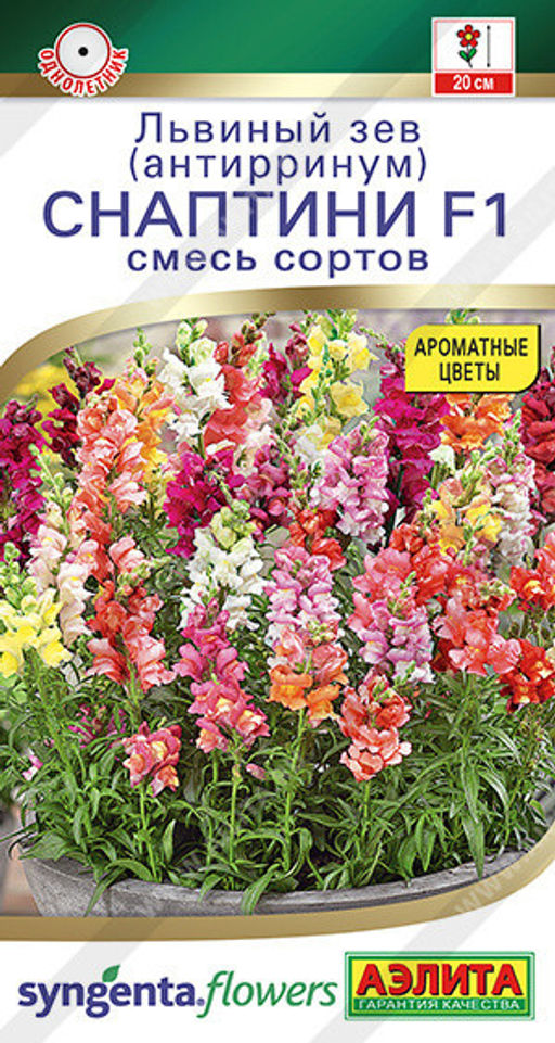 1586A Львиный зев Снаптини F1, смесь сортов 7шт