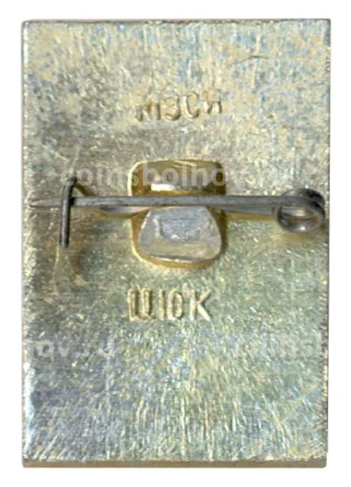 Значок Владимир