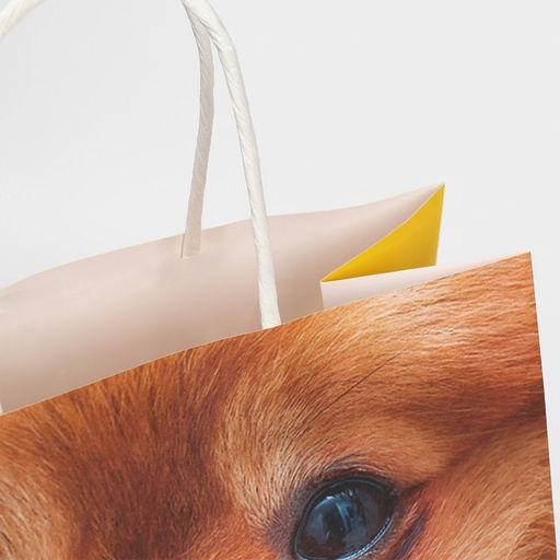 Цена за 2 шт. Пакет подарочный, упаковка, Подарочек, 22?22?11 см