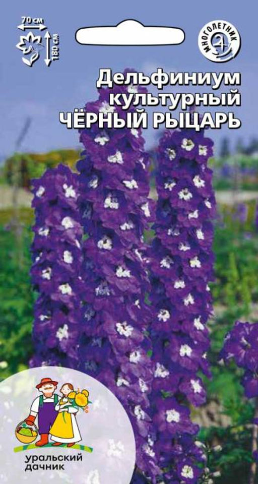 Дельфиниум ЧЁРНЫЙ РЫЦАРЬ Эффектные красивые гиганты!