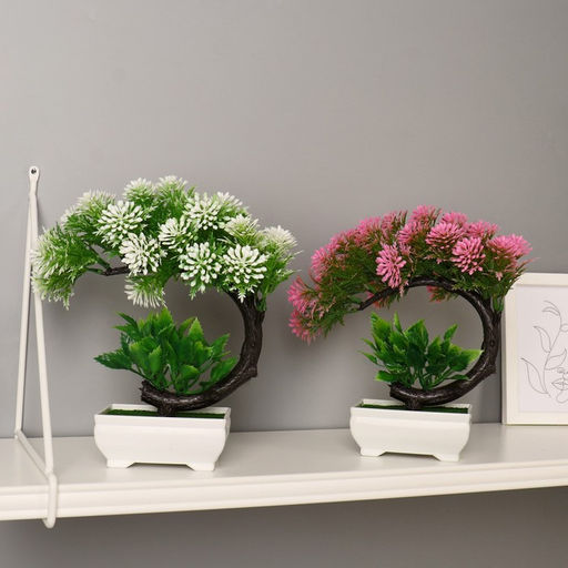 Бонсай в горшке «Селагинелла африканская», 10×20 см, МИКС