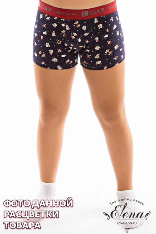 Боксеры. - Елена фото 10