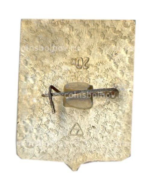 Значок Юрьев