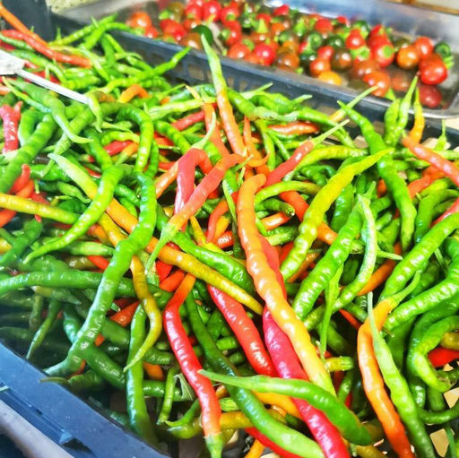 Японский Пряный Сладкий Струнный Перец Химо Тогараши Himo Togarashi - Дом помидоров фото 4