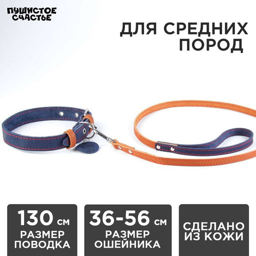 Комплект : ошейник (36-56х2.5 см) и поводок (130х1.5 см), цвет синий и бежевый