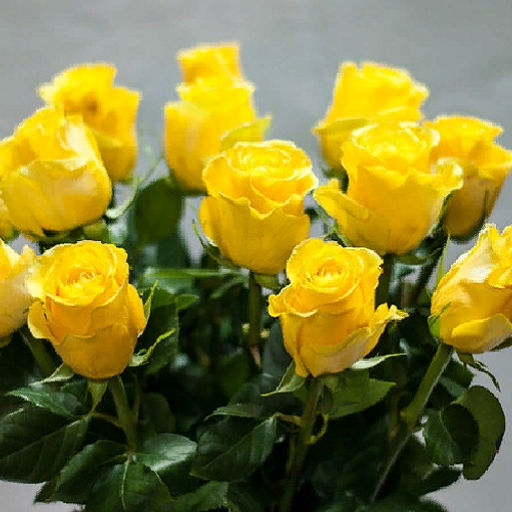 R521 ХАММЕР