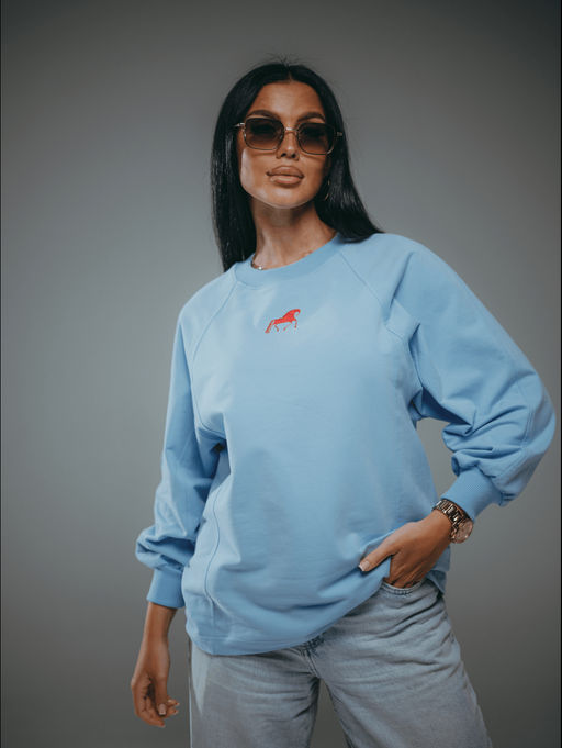 Символ свитшот женский (голубой)