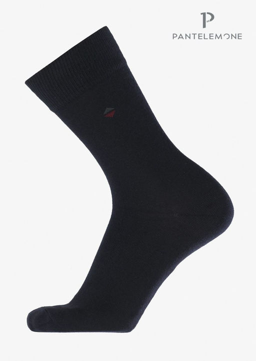 /10 пар. Мужские носки Classic PN-110