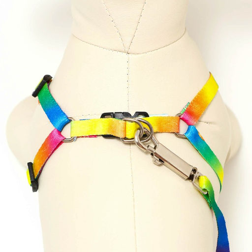 Комплект Радуга, капрон, поводок 120 х 1 см, ОГ 24-34 см, разноцветный - Пижон фото 4