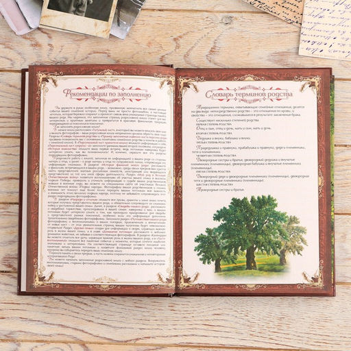 Родословная книга в шкатулке «Древо семьи», 56 листов, 20×26 см