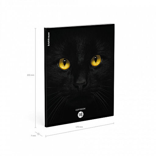 Цена за 5 шт. Тетрадь общая ученическая ErichKrause Cats, 96 листов, клетка, матовая ламинация_MIX-PACK фото 10