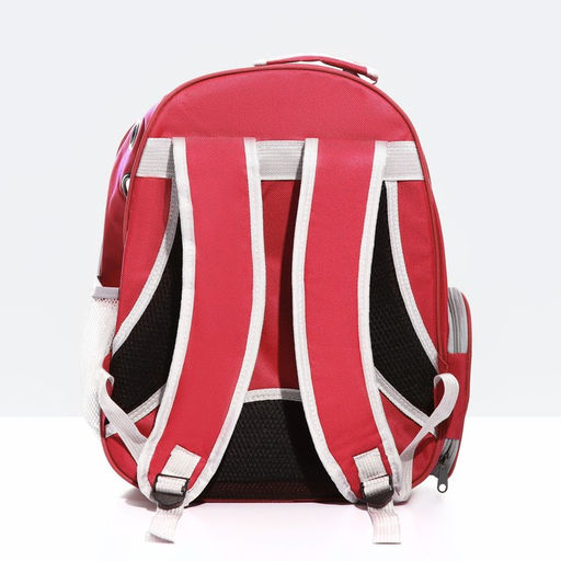 Рюкзак для переноски животных прозрачный, 31 х 28 х 42 см, красный - Пижон фото 3