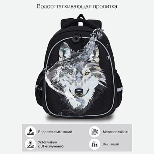 RAz-087-3 new Рюкзак школьный с картхолдером на держателе - Grizzly фото 24