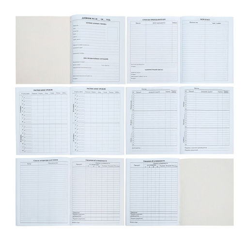 Цена за 5 шт. Дневник школьный для 1-11 классов, «Госсимволика России», мягкая обложка, 40 листов