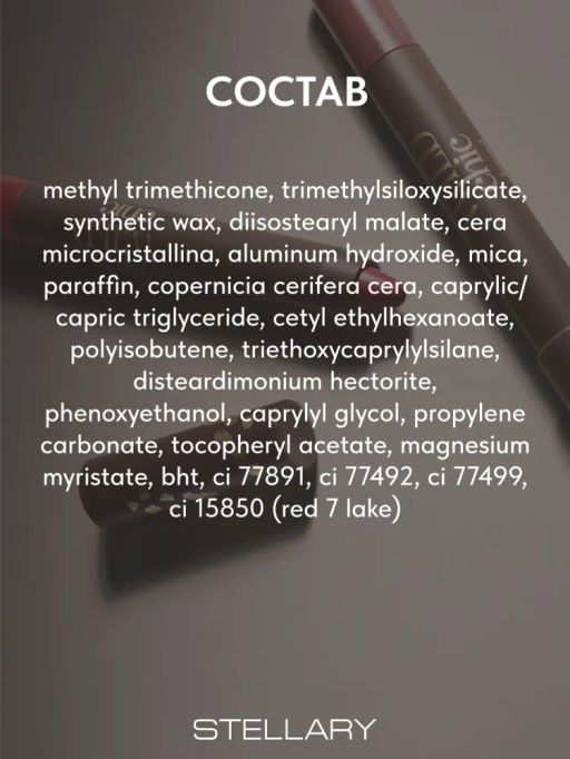 Stellary Стойкий карандаш-помада для губ Wild Chic collection тон 02  фото 8