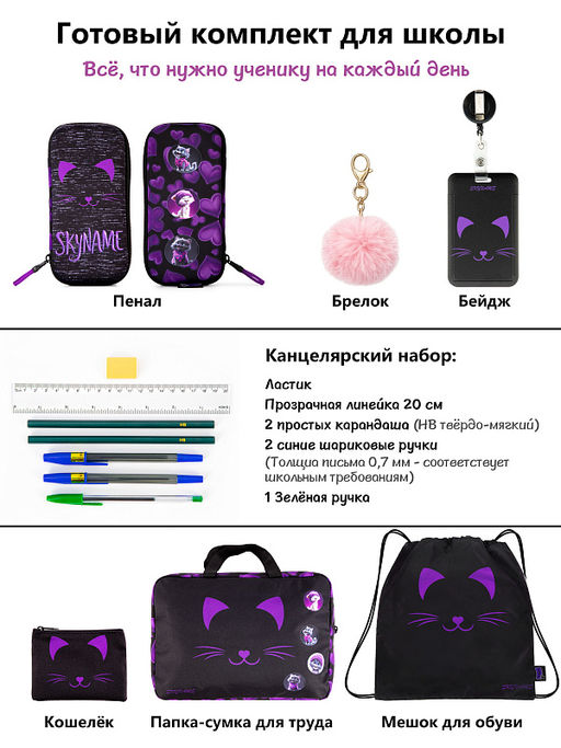 Рюкзак SkyName set-R9-12 + мешок для обуви, папка, пенал, кошелек, бейдж, канц. наб, брелок , значки  фото 15