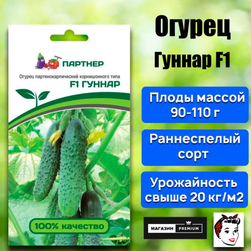 Огурец партенокарпический Гуннар - Партнер фото 8