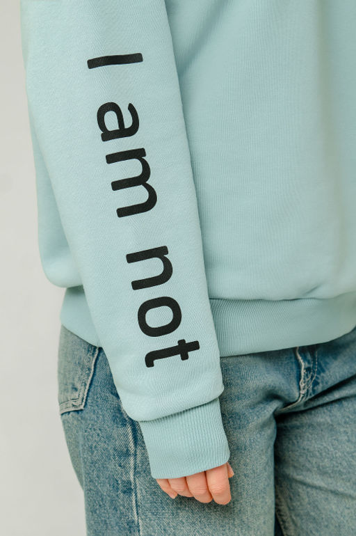 Арт. 15104 Свитшот женский 44-52 (5 шт) Цвет:мята