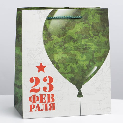 Пакет подарочный ламинированный, упаковка, «С 23 февраля», ML 23×27×11.5 см