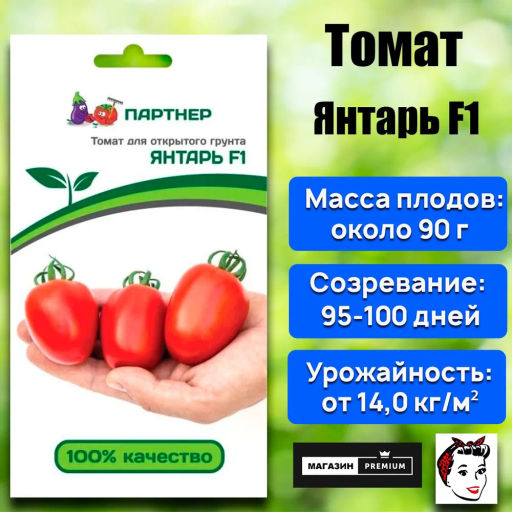 Томат Янтарь - Партнер фото 2