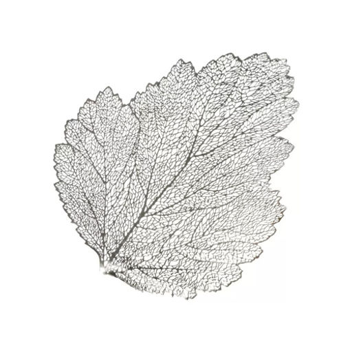 Салфетка декоративная полимер 36х47 см Веточка Y4-5454 (407678) /DANIKS/