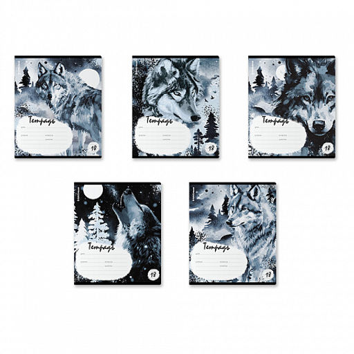 Цена за 10 шт. Тетрадь школьная ученическая ErichKrause Timber Wolf, 18 листов, линейка (в плёнке по 10 шт.)_MIX-PACK  фото 2