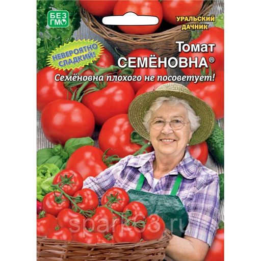 Томат Семеновна Фото