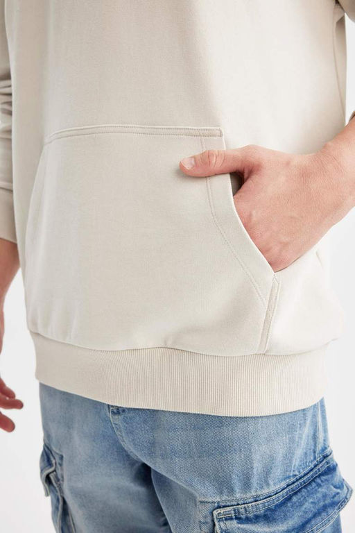 Базовая толстовка Comfort Fit с капюшоном - Defacto фото 9