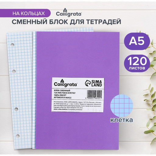 Сменный блок д/тетр на кольцах А5 120л кл Calligrata офсет №1 60 гр/м2 бел 100%  фото 4