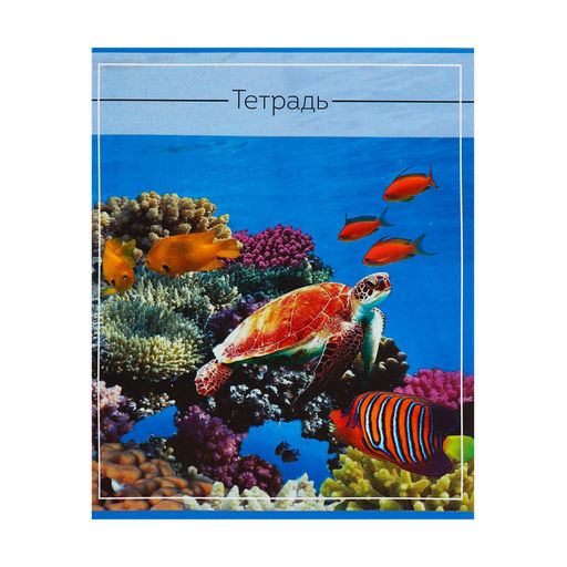 Комплект тетрадей из 5 шт (4 разные + 1 повторяющаяся МИКС), 36 листов, клетка, Океан, обложка мелованная бумага, блок №2, белизна 75% (серые листы) - Calligrata фото 5