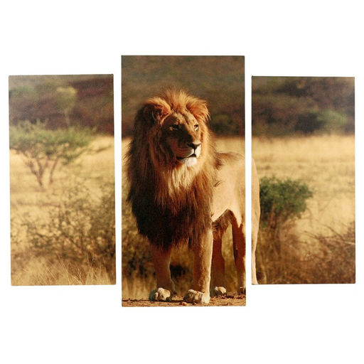 Модульная картина «Король саванны», (2-25×50, 30×60 см), 60×80 см