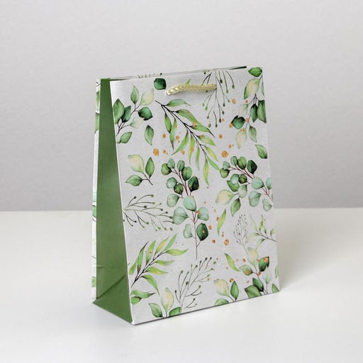 Цена за 2 шт. Пакет подарочный ламинированный, упаковка, Present for you, MS 18×23×8 см