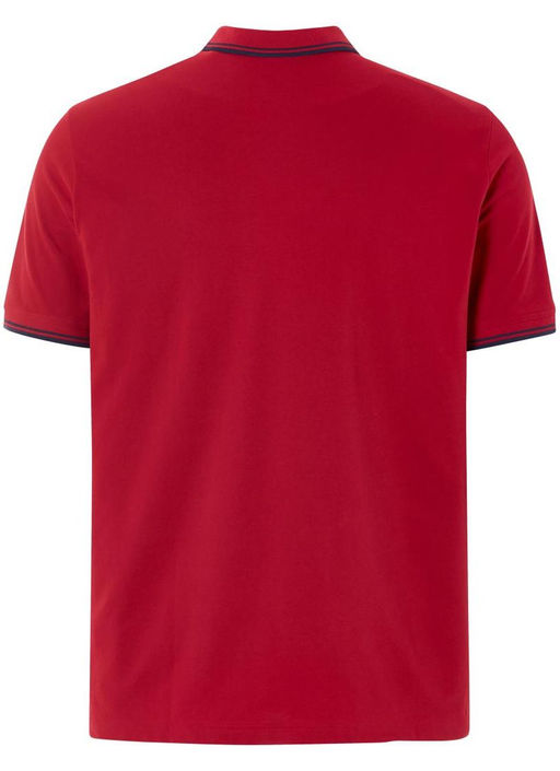 Мужская футболка-поло LIVERGY  фото 3