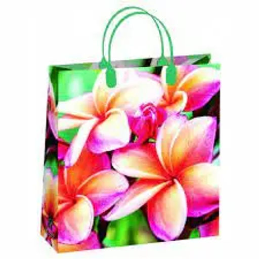 9054 Сумка пластик. BAS 139 (26*23см) маленькая *20