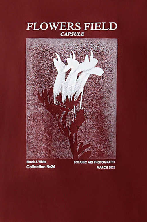 Арт. 3-1143 Футболка женская 42-50 (5 шт) Цвет:шоколад - Калинка фото 13