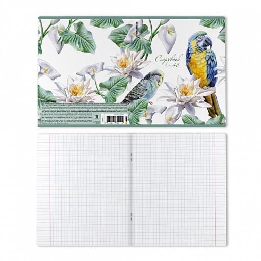 Цена за 5 шт. Тетрадь общая ученическая ErichKrause Тропические птицы, 48 листов, клетка, мат.лам.+выб. УФ-лак+тиснение фольгой+конгрев, доп.лист_MIX-PACK  фото 8
