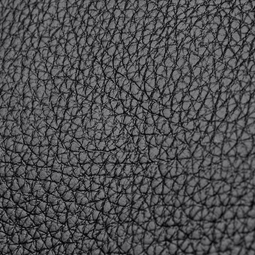 KAIDIFEINIROO Сумка женская 9803 фото 13