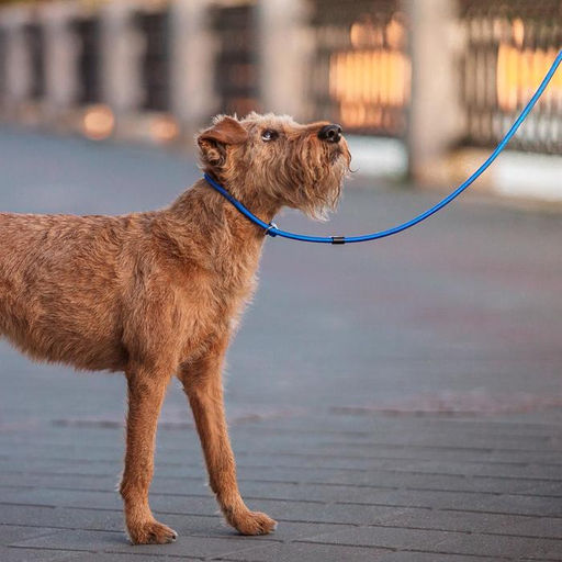 Ринговка 130 х 0,8 см, синяя - Пижон фото 5