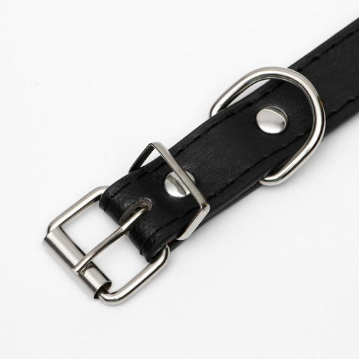 Ошейник из высококачественной искусственной кожи с подкладом под кожу, 44 х 2 см, микс - Пижон фото 4