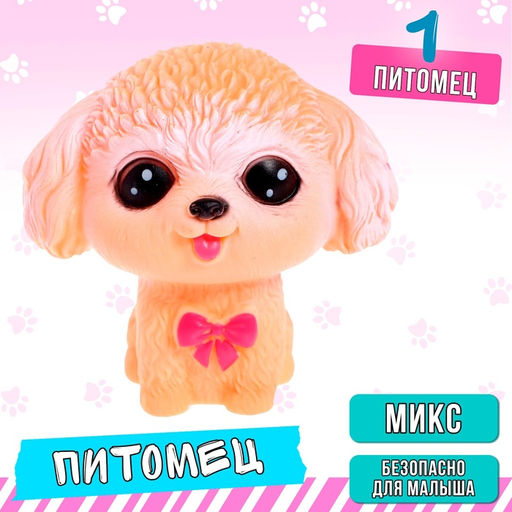 Питомец Любимый, МИКС
