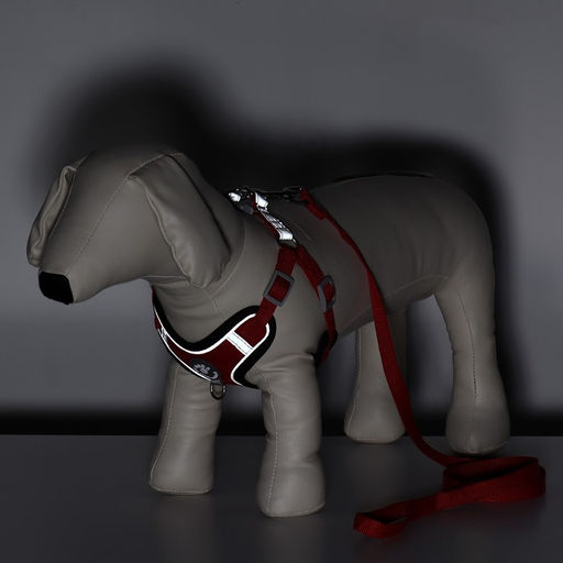 Комплект Sport+, S, поводок 120 x 1,5 см, ОШ 39-41 см , ОГ 44-48 см, вес животного 7-13 кг, красный - Пижон фото 10