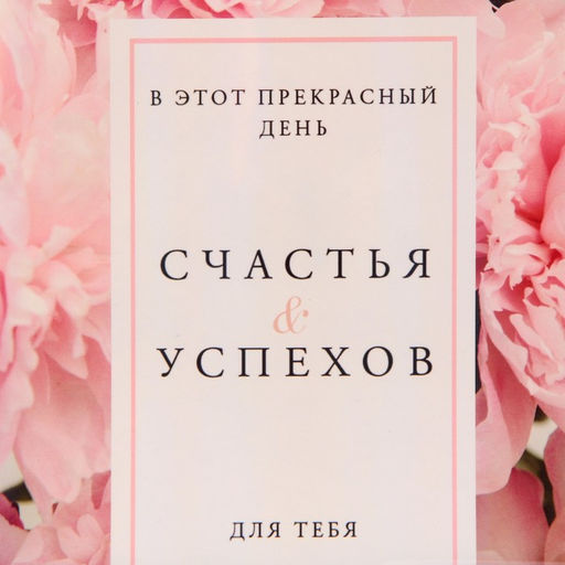 Пакет ламинированный Счастья и успехов, радужная голография, MS 18 х 23 х 10 см - Дарите счастье фото 4