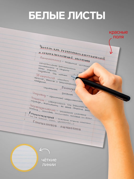 Комплект тетрадей из 5 шт, 48 листов, линия Пиксели, обложка мелованный картон, ВД-лак, блок офсет - Calligrata фото 10
