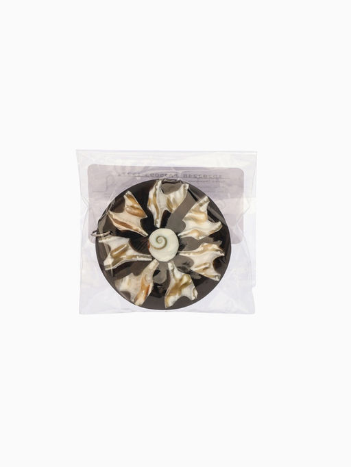 Кулон «Экзотика», 25 см, ракушка