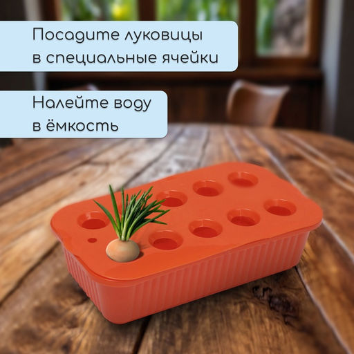 Цена за 2 шт. Ящик для выращивания зелёного лука, 29×16×8.5 см, 2.5 л, 10 лунок, пластик, оранжевый, Greengo