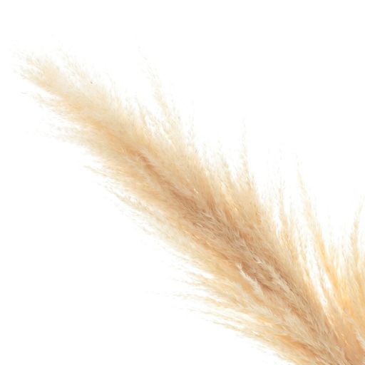 Ветка Сухоцвет, L10 W10 H95 см - Remeco фото 2