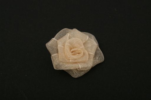 BLITZ 73 Роза 6 шт №097 св.персиковый