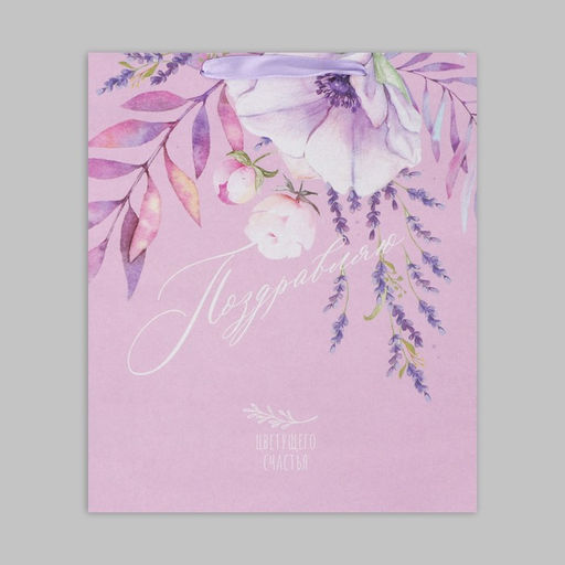 Цена за 2 шт. Пакет подарочный крафтовый, упаковка, Поздравляю, M 26?30?9 см