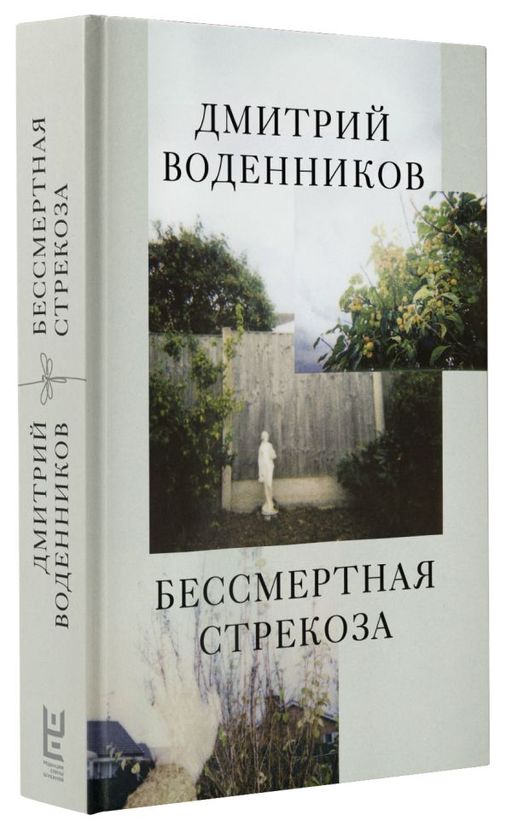 Бессмертная стрекоза